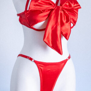 Önü açılıp kapanabilir iç çamaşırı takımı